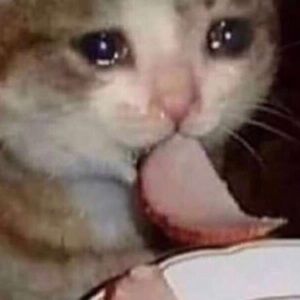 Meet your Posher, Carter